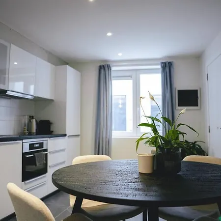 Loft In Centre דירה אנטוורפן