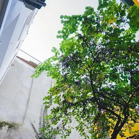 Loft In Centre